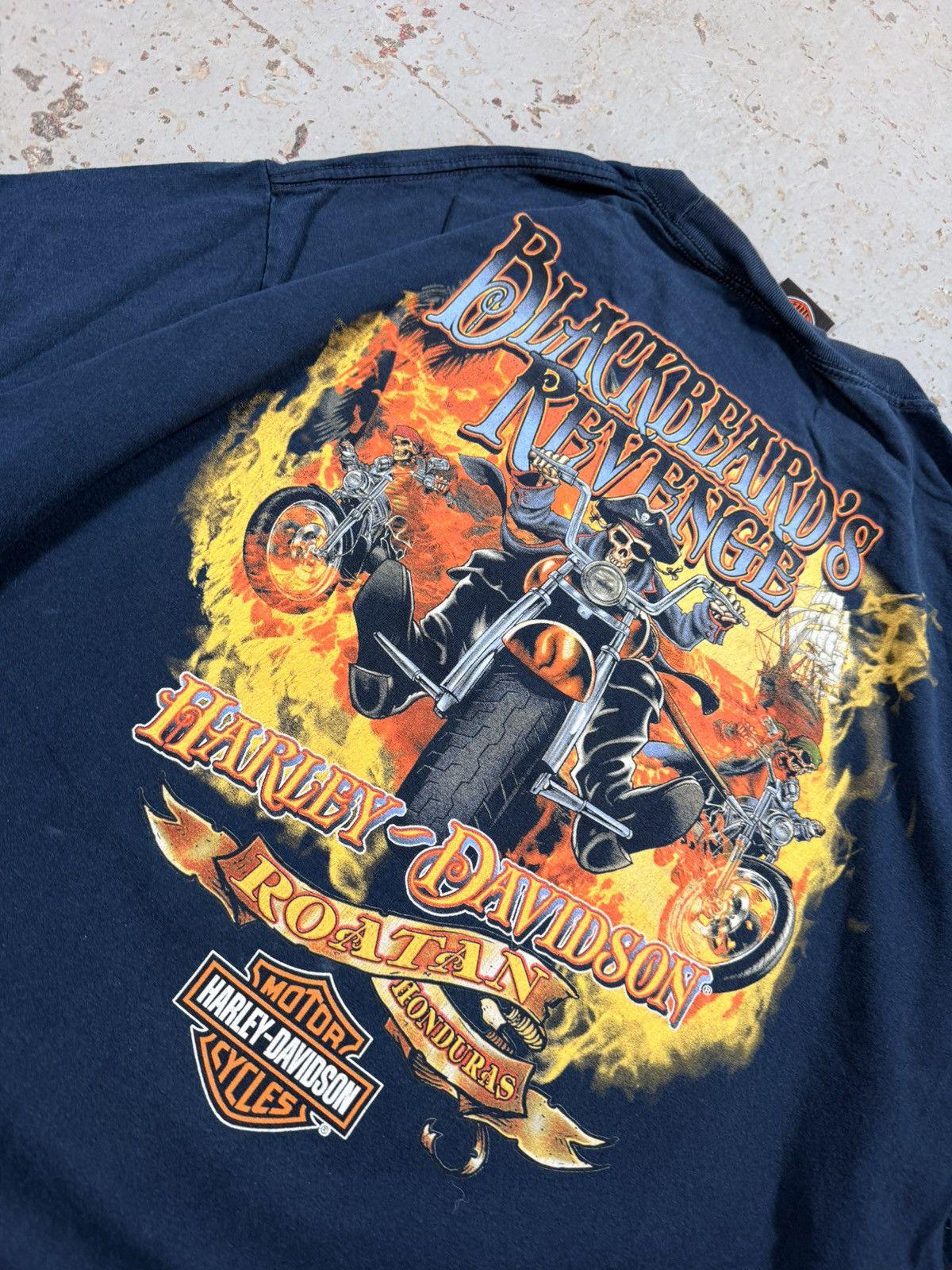 Vintage Harley Davidson Distressed Painter Pirate Tee