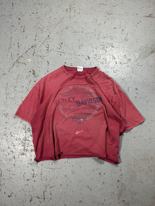 Vintage Thrashed Harley Davidson Tee