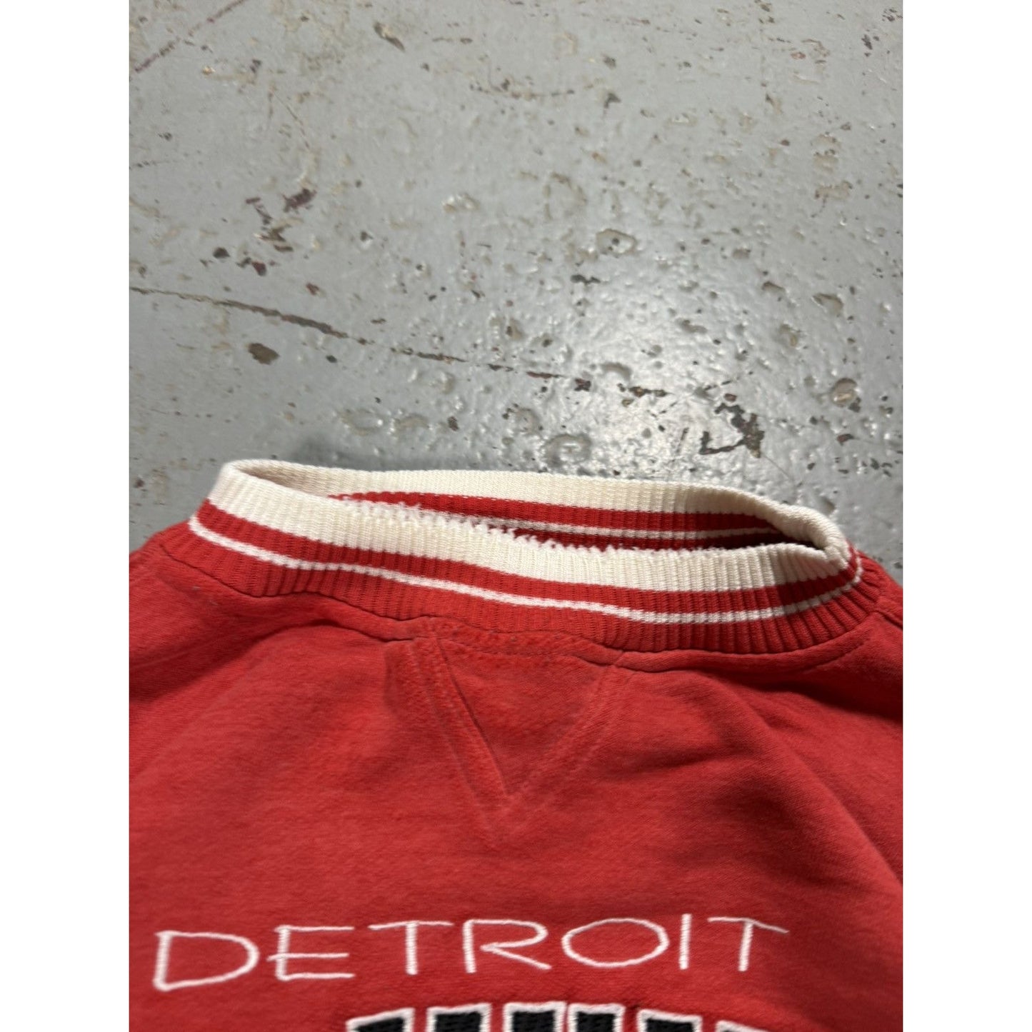 Vintage Detroit Red Wings Distressed Crewneck