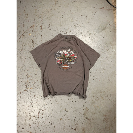 Vintage Thrashed Faded Harley Davidson Biker Tee Distressed