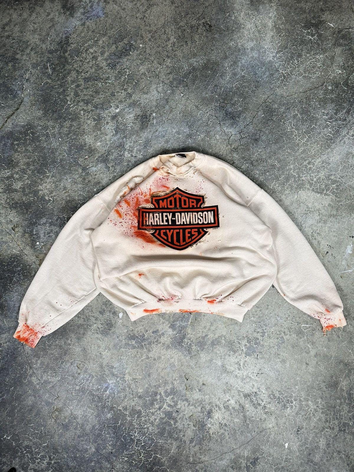 Vintage Road rash Harley sweater