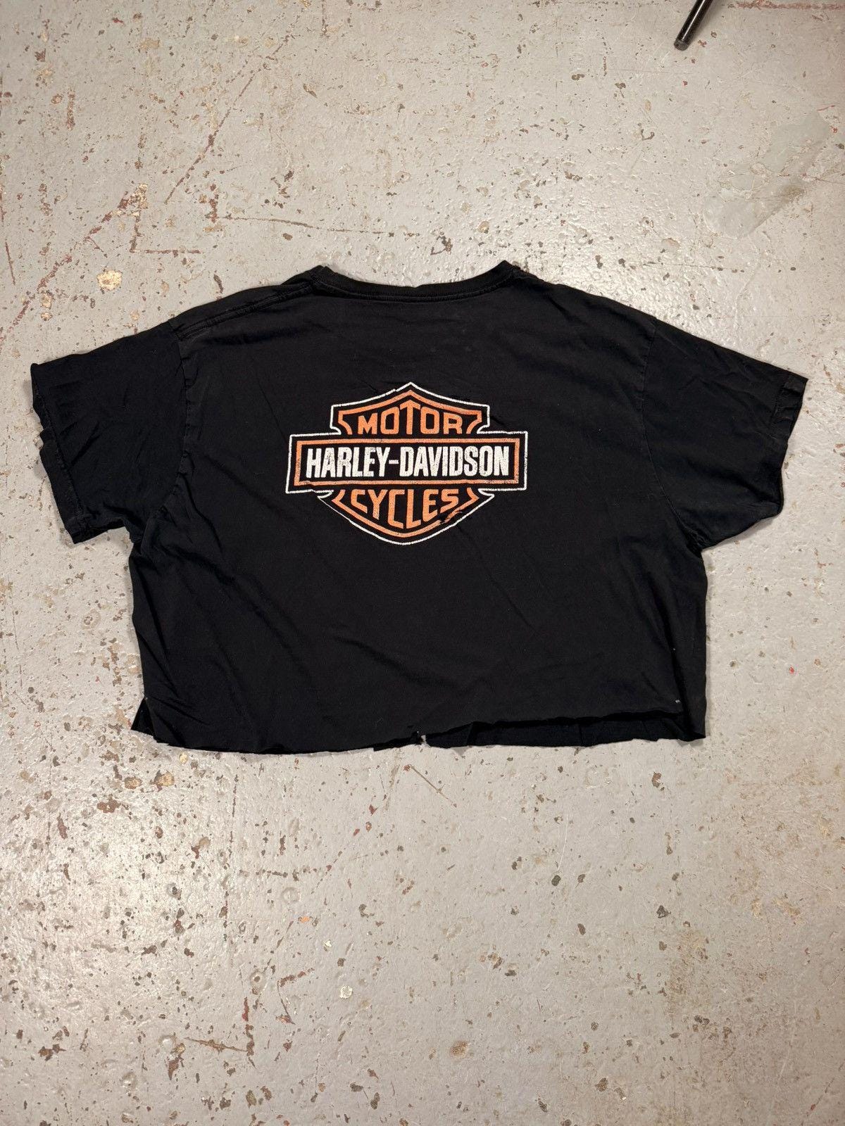 Vintage Cropped Thrashed Harley Davidson Eagle Breakout Tee
