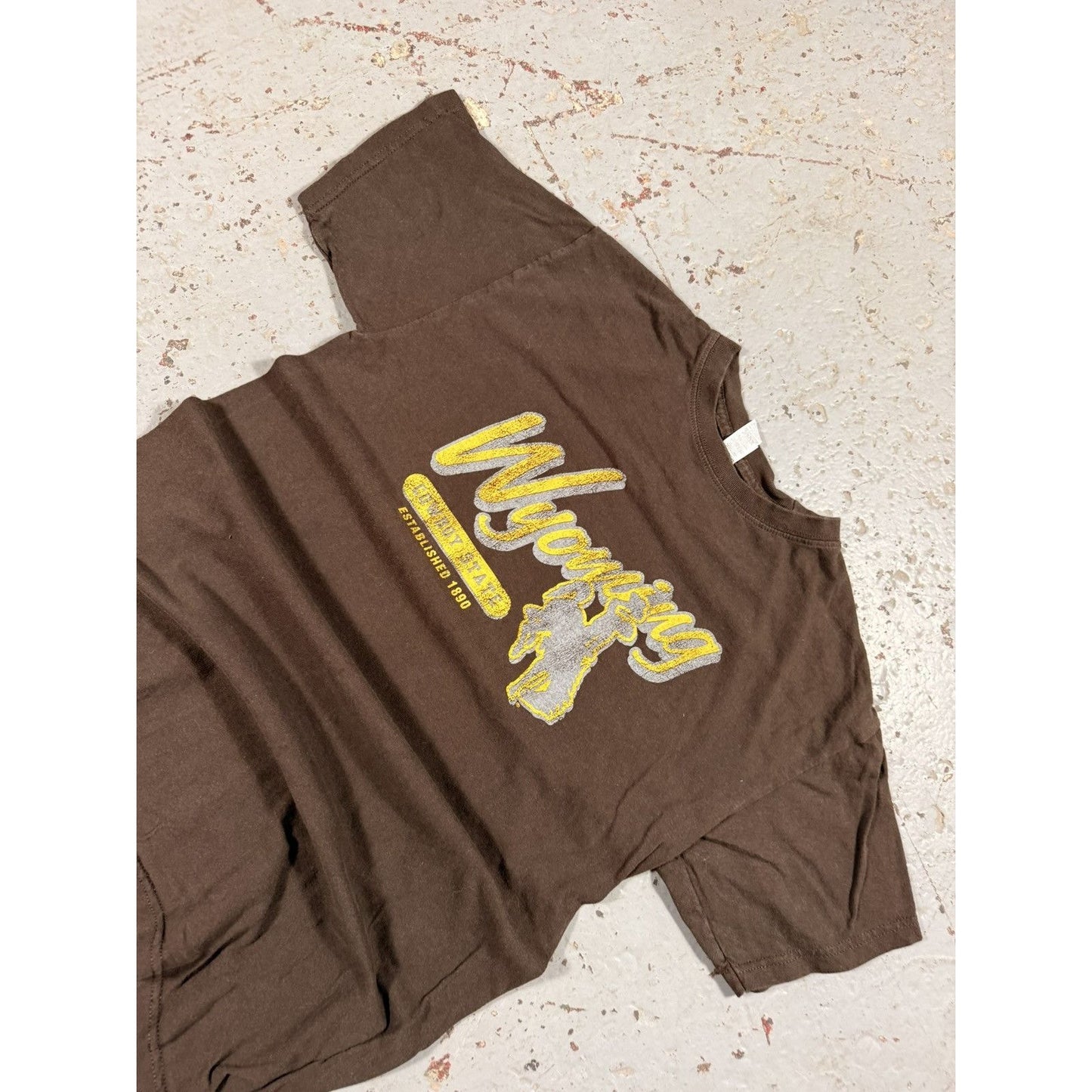 Faded Mocha Brown Wyoming Cowboy Tee