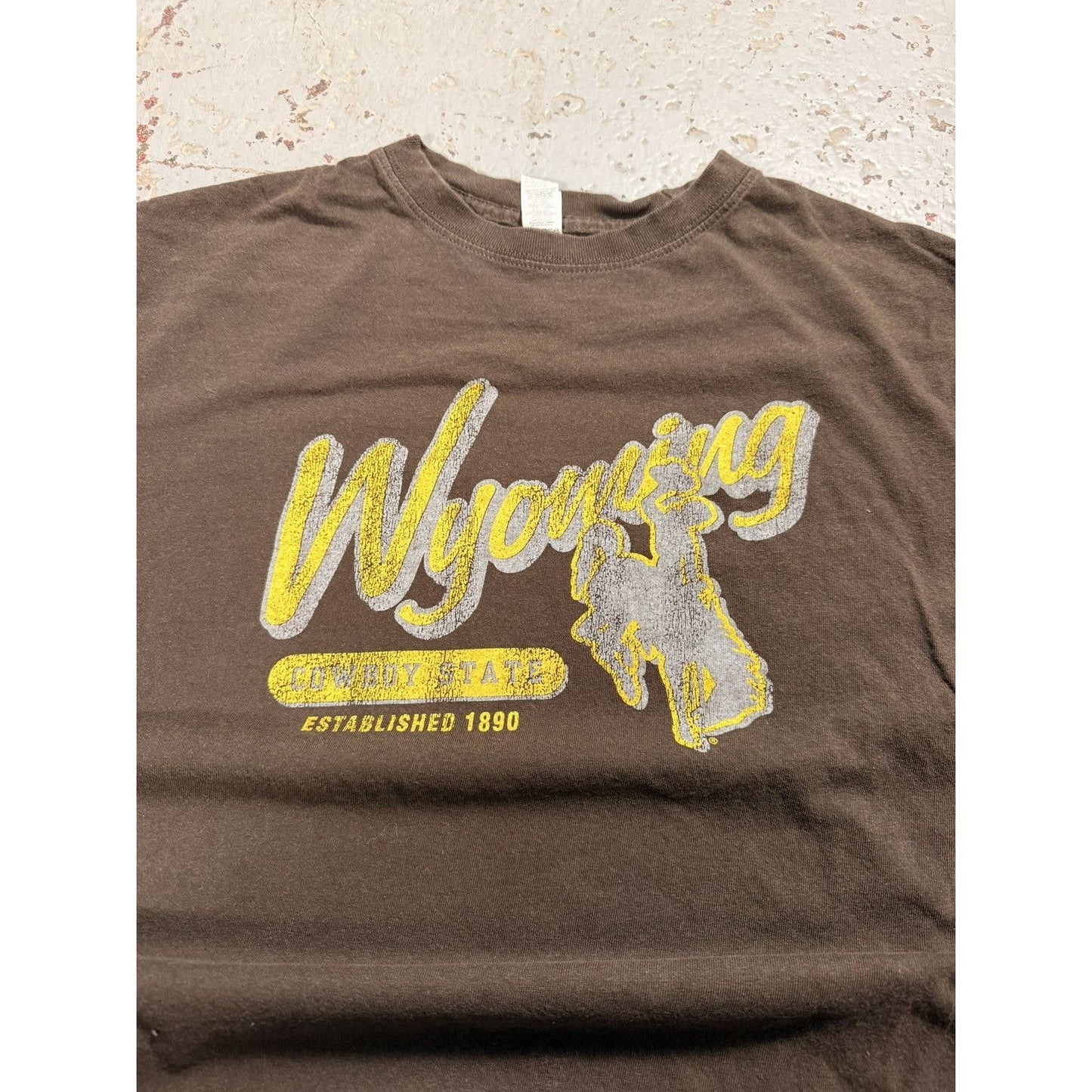 Faded Mocha Brown Wyoming Cowboy Tee