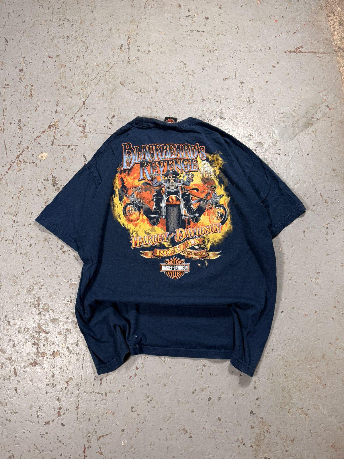 Vintage Harley Davidson Distressed Painter Pirate Tee