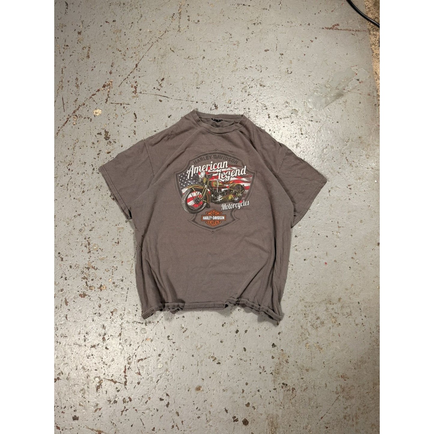 Vintage Thrashed Faded Harley Davidson Biker Tee Distressed