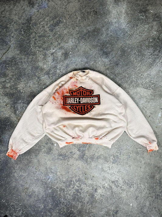 Vintage Road rash Harley sweater